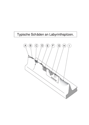 Band Maschinenelemente 2B, Typische Schäden an Labyrinthspitzen